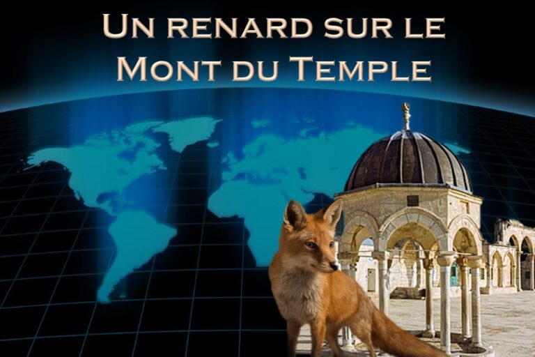 un renard sur le mont du temple